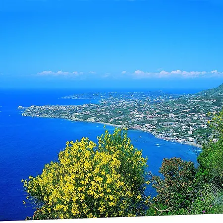 Villa Angela Hotel & Spa Hotel Forio (Isola d'Ischia)